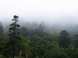2 縮小 2014年9月5日 霧と雨の日.jpg