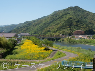 Ⓒ 縮小 2017年5月18日 延岡市 24.jpg