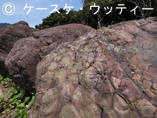 Ⓒ 縮小 P5150228.jpg