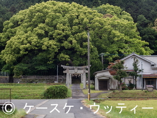 Ⓒ 縮小 ブ 2017年5月10日 福岡県 宗像市朝町 (神社に引き寄せられる).jpg