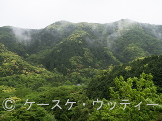 Ⓒ 縮小 ブ 2017年5月9日 長崎県 対馬(地形と自然).jpg