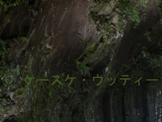 Ⓒ 縮小 P5180049.jpg