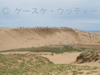 ブ●縮小 2017年5月5日 砂丘とオアシス.jpg