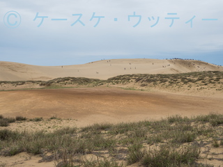 ブ●縮小 2017年5月5日 鳥取砂丘 火山灰露出地.jpg