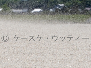 ブ トリミング 縮小 2017年5月4日 風紋を作る風.jpg