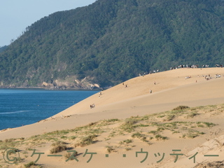 ブ 縮小 2017年5月4日 鳥取砂丘 (5).jpg
