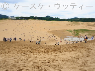 ブ 縮小 2017年5月5日 ARTフィルター ジオラマ (2).jpg