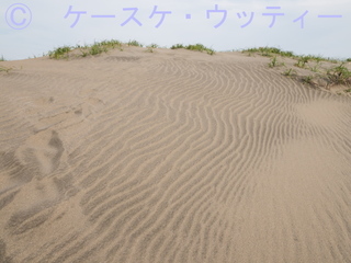 縮小 ブ 2017年6月6日 風紋.jpg
